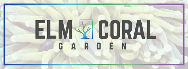 ELM CORAL GARDEN